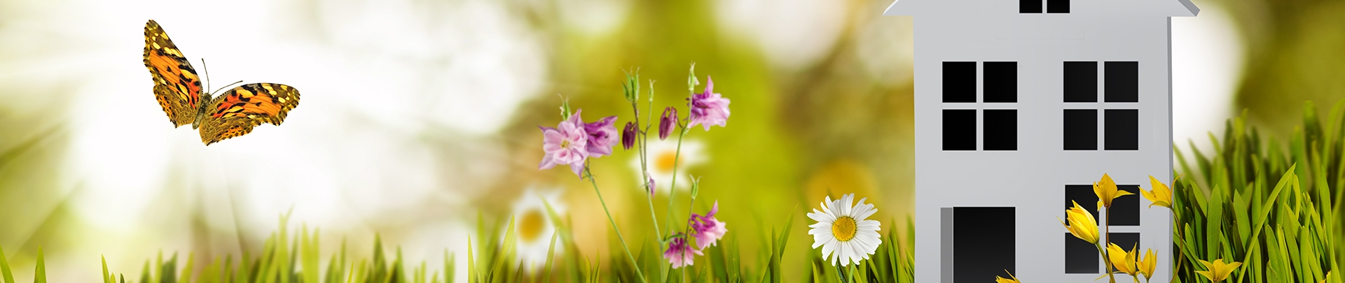 #D afbeelding van een huis in een natuur landschap met gras, bloemen, de zon en een vlinder